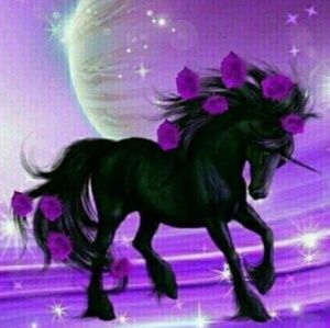 Meet your Posher, Bethany